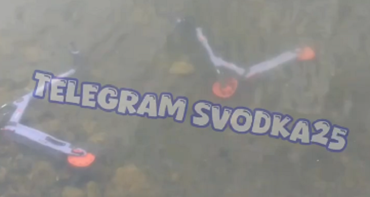 853a647615c9bcd3d3d213604e89f2219a266e9c.png