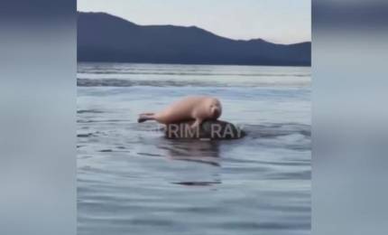thumb_548618_news_xxxl.jpg