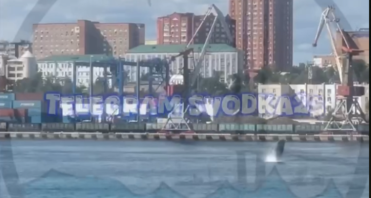 e259acc28962d79f6b3092d37b34ef28c7c23540.png