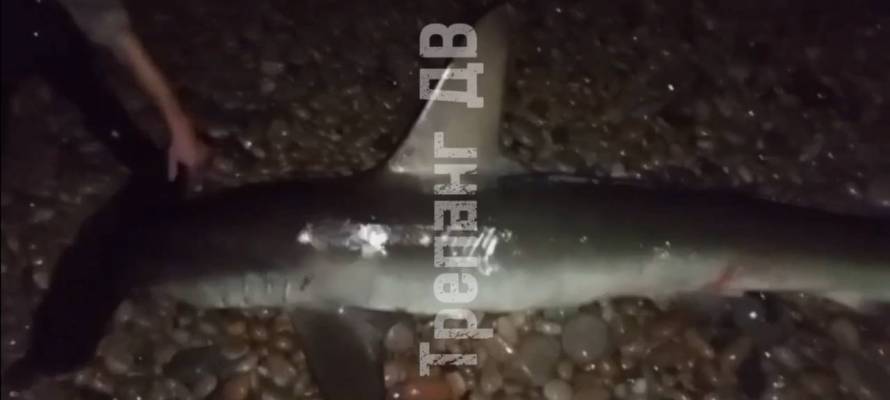 540703d2e3e7c95eba59e5925ceeada69cbcce49.jpeg 540703d2e3e7c95eba59e5925ceeada69cbcce49.jpeg