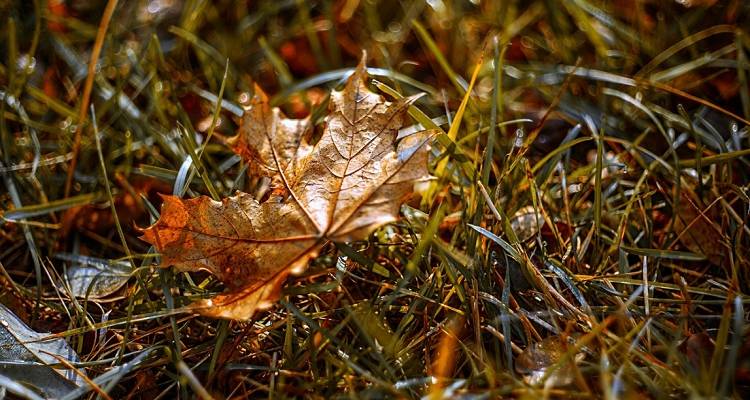 d32895e82c7141d41f5d095f265dad3e5d191f7a.jpeg d32895e82c7141d41f5d095f265dad3e5d191f7a.jpeg