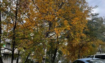 418fc2efa37cafc9490e6f73aeb1771b499fe726.jpeg 418fc2efa37cafc9490e6f73aeb1771b499fe726.jpeg