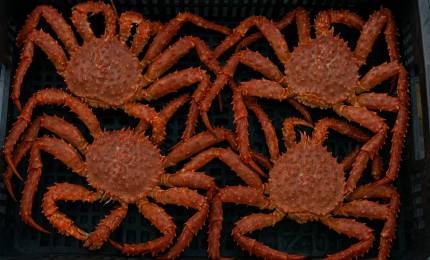 85209a4850aad940cf80cc399b1e0a010ce8f7db.jpeg 85209a4850aad940cf80cc399b1e0a010ce8f7db.jpeg