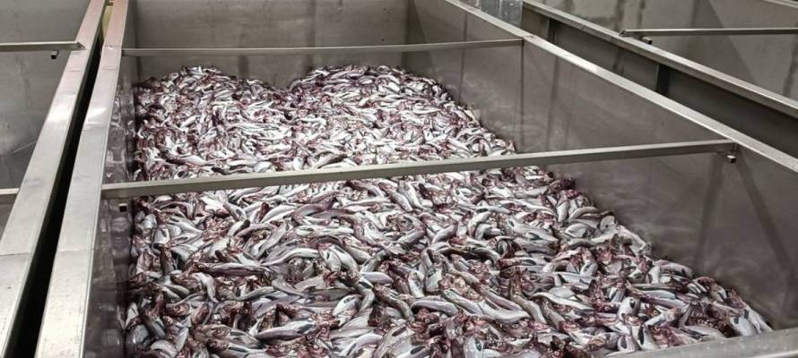 e1e35e66d064167ea36dd3a22041c1fc28660bb9.jpeg e1e35e66d064167ea36dd3a22041c1fc28660bb9.jpeg