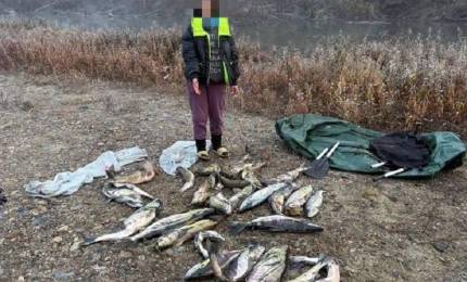 d087e3158078f7de47f388880f70d7fb2638827f.jpeg d087e3158078f7de47f388880f70d7fb2638827f.jpeg