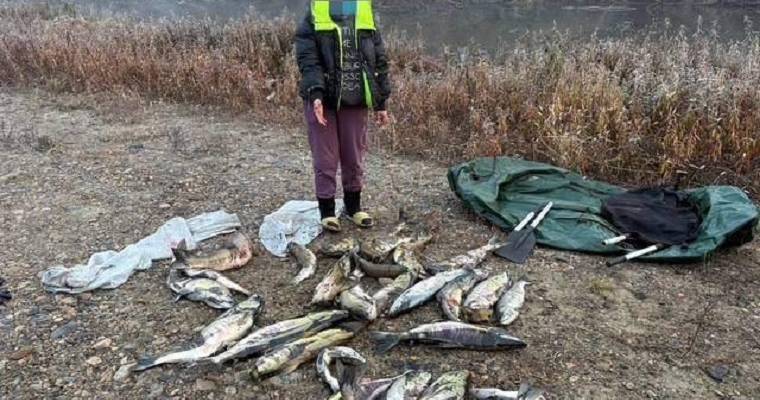 d087e3158078f7de47f388880f70d7fb2638827f.jpeg d087e3158078f7de47f388880f70d7fb2638827f.jpeg